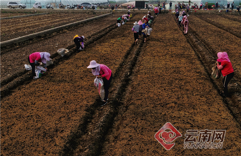 亿万28大舞台有梦你就来- 海登海姆山区训练基地改造完成，配备顶级设施